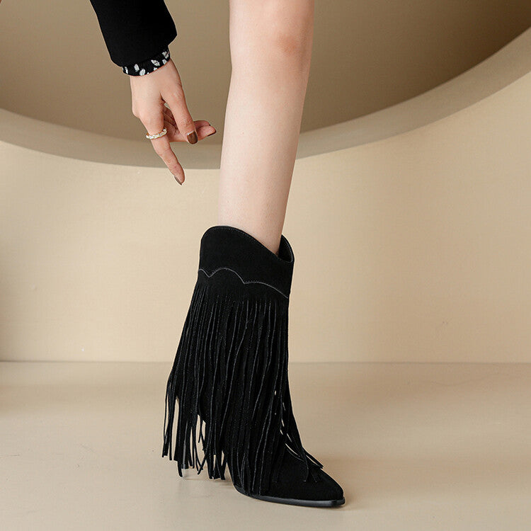 Women Pointed Toe Tassel Stiletto Heel Mid-Calf Boots