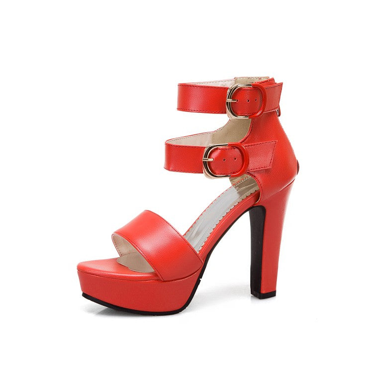 Women Solid Color Double Ankle Strap Platform Chunky Heel Sandals