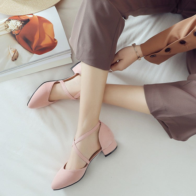 Woman Suede Pointed Toe Ankle Strap Block Heel Sandals