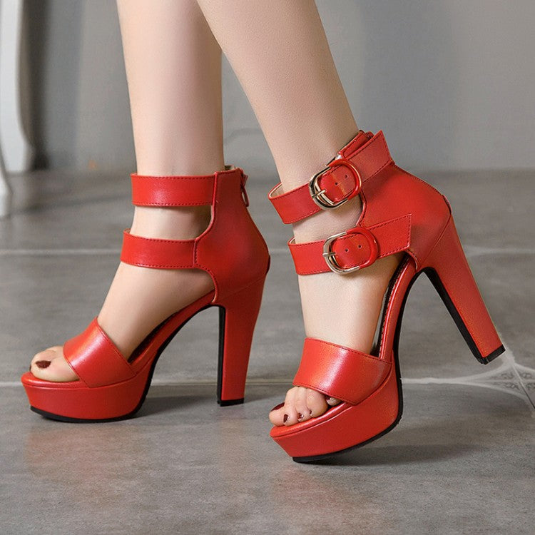 Women Solid Color Double Ankle Strap Platform Chunky Heel Sandals