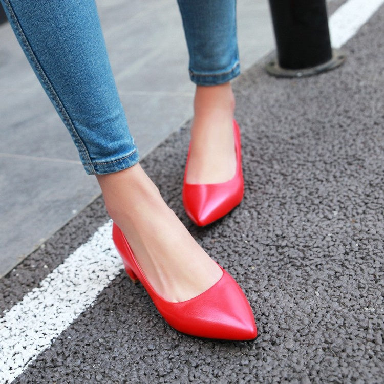 Woman Pointed Toe Pumps Low Heeled Shoes