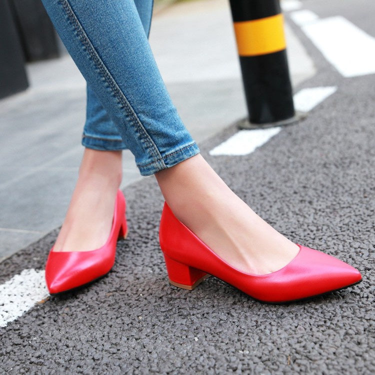 Woman Pointed Toe Pumps Low Heeled Shoes